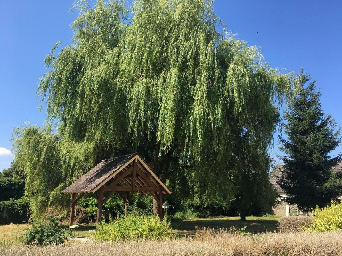 Charmant T2 Rdc Dans Residence Avec Parc Arbore Saint-Pierre-le-Moutier ภายนอก รูปภาพ